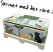 Skrinet med det rare i